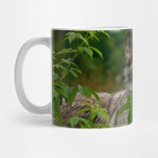 Grey Wolf Mug